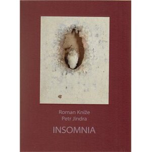 Insomnia - Roman Kníže
