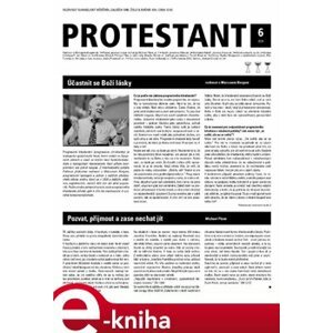 Protestant 2014/6 e-kniha