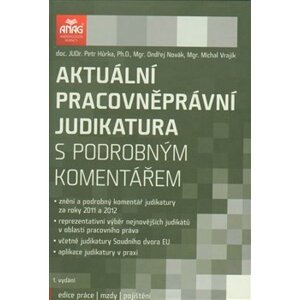 Aktuální pracovněprávní judikatura s podrobným komentářem - Michal Vrajík, Ondřej Novák, Petr Hůrka