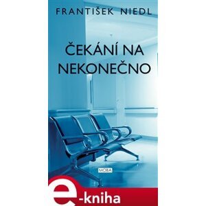 Čekání na nekonečno - František Niedl e-kniha