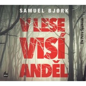 V lese visí anděl, CD - Samuel Bjork