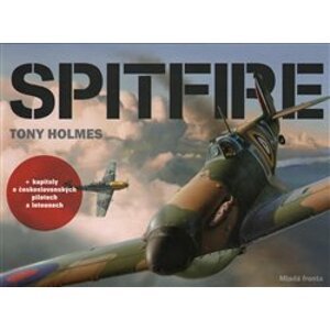 Spitfire - Tony Holmes