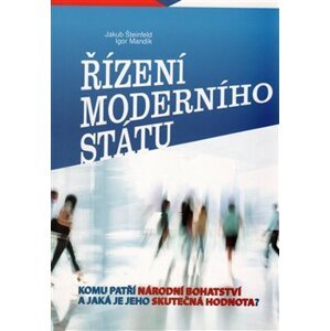 Řízení moderního státu - Igor Mandík, Jakub Šteinfeld