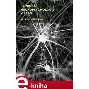 Klinická neuropsychologie v praxi - Petr Kulišťák e-kniha