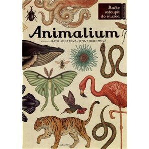Animalium - Jenny Broomová