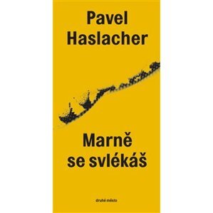 Marně se svlékáš - Pavel Haslacher