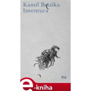 Inventura - Kamil Bouška e-kniha