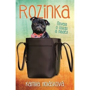 Rozinka. Novela o osudu a naději - Kamila Holásková