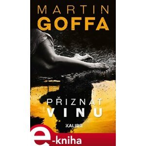 Přiznat vinu - Martin Goffa e-kniha