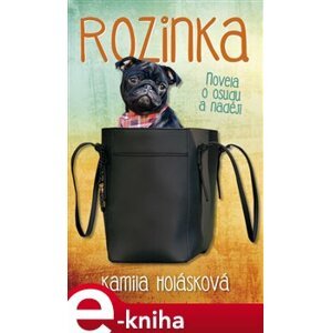 Rozinka. Novela o osudu a naději - Kamila Holásková e-kniha