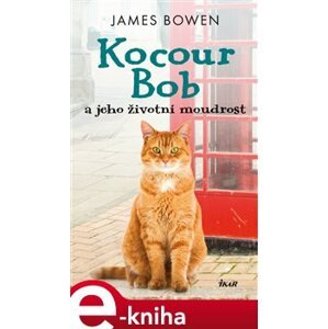 Kocour Bob a jeho životní moudrost - James Bowen e-kniha