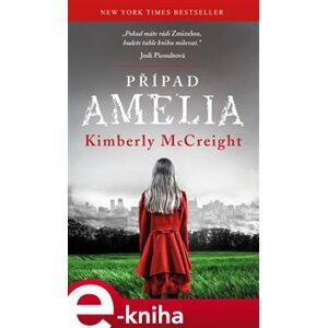 Případ Amelia - Kimberly McCreight e-kniha