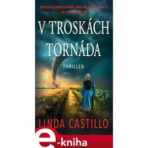 V troskách tornáda - Linda Castillo e-kniha