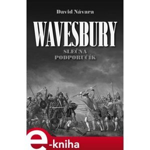 Wavesbury – Slečna podporučík - David Návara e-kniha