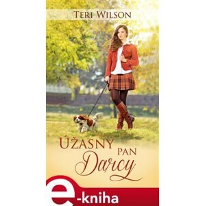 Úžasný pan Darcy - Teri Wilson e-kniha
