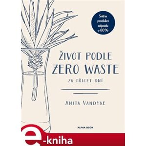 Život podle Zero Waste za třicet dní - Anita Vandyke e-kniha