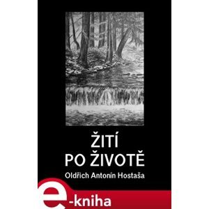 Žití po životě - Oldřich Antonín Hostaša e-kniha