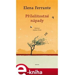 Příležitostné nápady - Elena Ferrante e-kniha