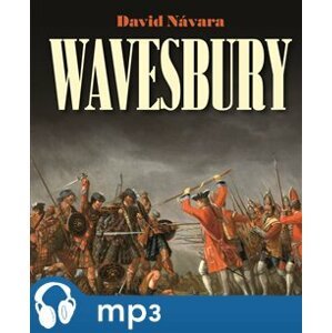 Wavesbury, mp3 - David Návara