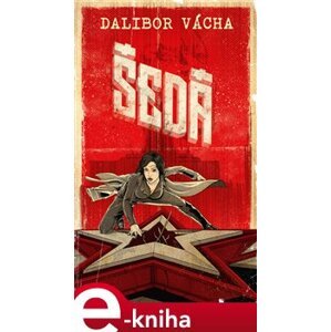 Šedá - Dalibor Vácha e-kniha