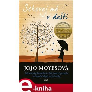 Schovej mě v dešti - Jojo Moyesová e-kniha