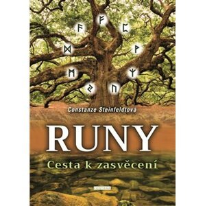 Runy - Cesta k zasvěcení - Constanze Steinfeldt