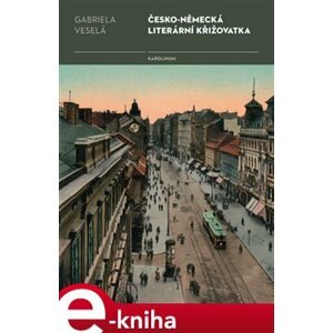 Česko-německá literární křižovatka - Gabriela Veselá e-kniha