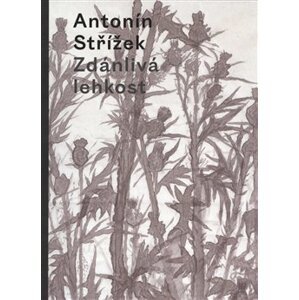 Zdánlivá lehkost - Antonín Střížek