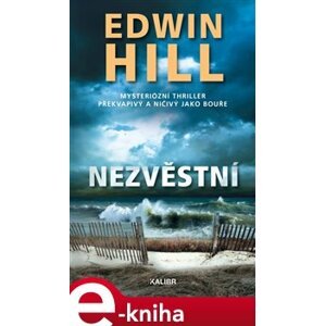 Nezvěstní - Edwin Hill e-kniha