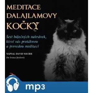 Meditace dalajlamovy kočky, mp3 - David Michie