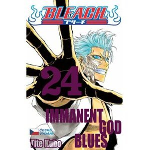 Bleach 24: Immanent God Blues - Tite Kubo