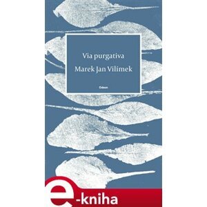 Via purgativa - Marek Jan Vilímek e-kniha