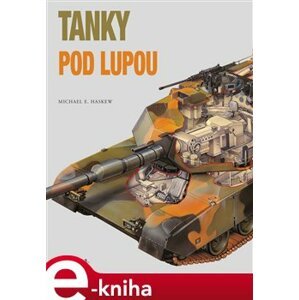 Tanky pod lupou - Michael E. Haskew e-kniha