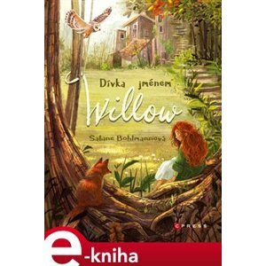 Dívka jménem Willow - Sabine Bohlmannová e-kniha