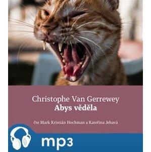 Abys věděla, mp3 - Christophe van Gerrewey
