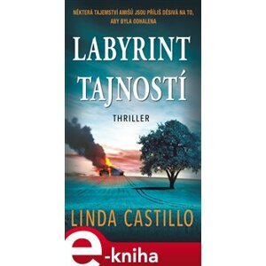 Labyrint tajností - Linda Castillo e-kniha