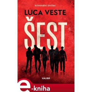 Šest - Luca Veste e-kniha