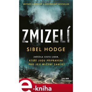 Zmizelí - Sibel Hodge e-kniha