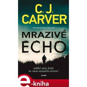 Mrazivé echo - C. J. Carver e-kniha