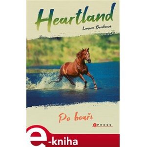 Heartland: Po bouři - Lauren Brookeová e-kniha