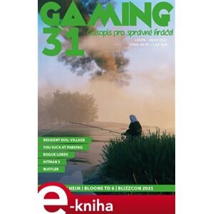 Gaming 31 e-kniha