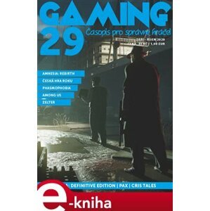 Gaming 29 e-kniha