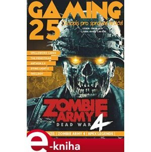 Gaming 25 e-kniha