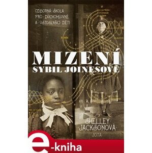 Mizení Sybil Joinesové - Shelley Jacksonová e-kniha