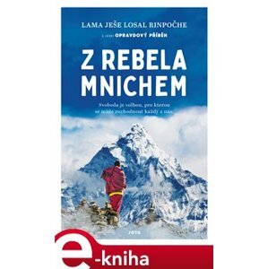 Z rebela mnichem - Lama Yeshe Losal e-kniha