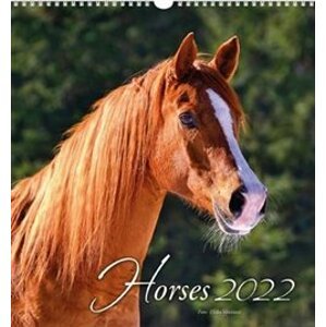 Kalendář 2022 nástěnný malý Horses