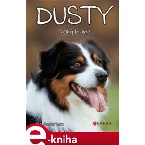 Dusty: Velký hrdina - Jan Andersen e-kniha