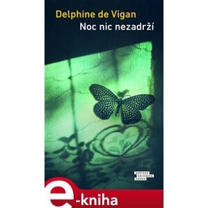 Noc nic nezadrží - Delphine de Vigan e-kniha