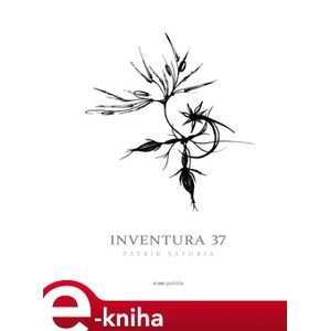 Inventura 37 - Patrik Satoria