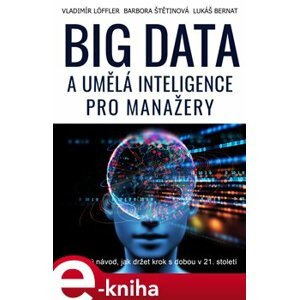 Big data a umělá inteligence pro manažery. Praktický návod, jak držet krok s dobou v 21. století - Barbora Štětinová, Vladimír Löffler, Lukáš Bernat e-kniha